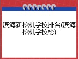 滨海新挖机学校排名(滨海挖机学校榜)
