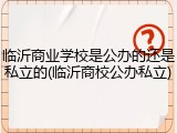 临沂商业学校是公办的还是私立的(临沂商校公办私立)
