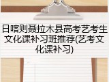 日喀则聂拉木县高考艺考生文化课补习班推荐(艺考文化课补习)
