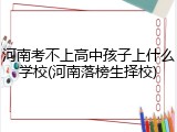 河南考不上高中孩子上什么学校(河南落榜生择校)