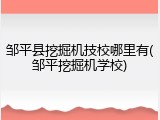 邹平县挖掘机技校哪里有(邹平挖掘机学校)