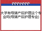 大学有母猪产后护理这个专业吗(母猪产后护理专业)