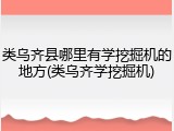 类乌齐县哪里有学挖掘机的地方(类乌齐学挖掘机)