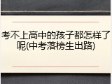 考不上高中的孩子都怎样了呢(中考落榜生出路)
