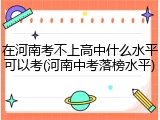 在河南考不上高中什么水平可以考(河南中考落榜水平)