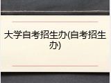大学自考招生办(自考招生办)