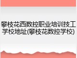 攀枝花西数控职业培训技工学校地址(攀枝花数控学校)