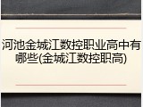 河池金城江数控职业高中有哪些(金城江数控职高)