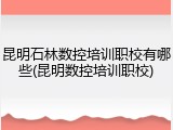 昆明石林数控培训职校有哪些(昆明数控培训职校)