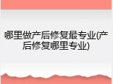 哪里做产后修复最专业(产后修复哪里专业)