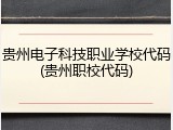 贵州电子科技职业学校代码(贵州职校代码)