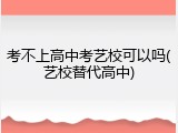 考不上高中考艺校可以吗(艺校替代高中)