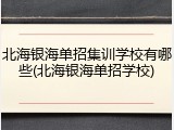北海银海单招集训学校有哪些(北海银海单招学校)