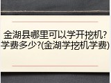 金湖县哪里可以学开挖机?学费多少?(金湖学挖机学费)