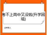 考不上高中又没钱(升学困境)