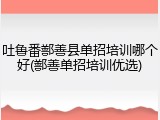 吐鲁番鄯善县单招培训哪个好(鄯善单招培训优选)