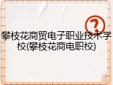 攀枝花商贸电子职业技术学校(攀枝花商电职校)
