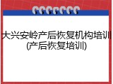 大兴安岭产后恢复机构培训(产后恢复培训)