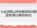 七台河桃山好的单招培训哪里有(桃山单招培训)