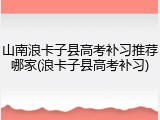 山南浪卡子县高考补习推荐哪家(浪卡子县高考补习)