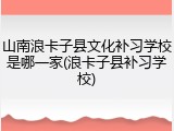 山南浪卡子县文化补习学校是哪一家(浪卡子县补习学校)