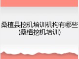 桑植县挖机培训机构有哪些(桑植挖机培训)