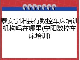 泰安宁阳县有数控车床培训机构吗在哪里(宁阳数控车床培训)