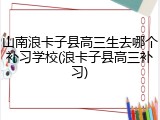 山南浪卡子县高三生去哪个补习学校(浪卡子县高三补习)