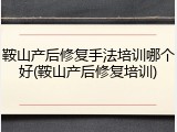 鞍山产后修复手法培训哪个好(鞍山产后修复培训)