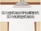 汉川挖机培训学校哪家好(汉川优质挖机培训)