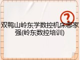 双鸭山岭东学数控机床哪家强(岭东数控培训)