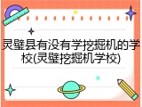 灵璧县有没有学挖掘机的学校(灵璧挖掘机学校)
