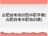 合肥自考培训班中职学费(合肥自考中职培训费)