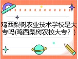 鸡西梨树农业技术学校是大专吗(鸡西梨树农校大专？)