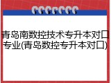 青岛南数控技术专升本对口专业(青岛数控专升本对口)