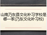山南乃东县文化补习学校是哪一家(乃东文化补习校)
