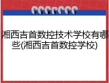 湘西吉首数控技术学校有哪些(湘西吉首数控学校)