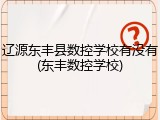 辽源东丰县数控学校有没有(东丰数控学校)