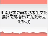 山南乃东县高考艺考生文化课补习班推荐(乃东艺考文化补习)