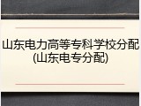山东电力高等专科学校分配(山东电专分配)
