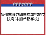 梅州丰顺县哪里有单招的学校啊(丰顺单招学校)