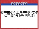 初中生考不上高中现状怎么样了呢(初中升学困境)