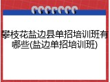 攀枝花盐边县单招培训班有哪些(盐边单招培训班)