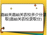 嘉峪关嘉峪关农校多少分录取(嘉峪关农校录取分)