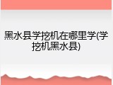 黑水县学挖机在哪里学(学挖机黑水县)