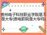 贵州电子科技职业学院是不是大专(贵电职院是大专吗)