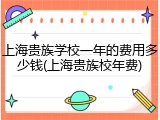 上海贵族学校一年的费用多少钱(上海贵族校年费)