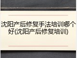 沈阳产后修复手法培训哪个好(沈阳产后修复培训)