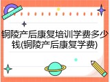铜陵产后康复培训学费多少钱(铜陵产后康复学费)