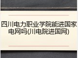 四川电力职业学院能进国家电网吗(川电院进国网)